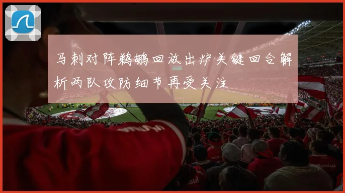 马刺对阵鹈鹕回放出炉关键回合解析两队攻防细节再受关注