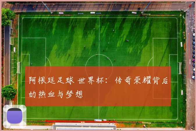 阿根廷足球 世界杯：传奇荣耀背后的热血与梦想