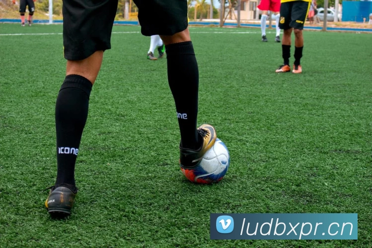 多媒体互动体验